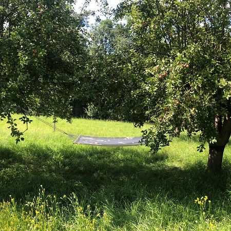 Sonnenhof Lägenhet Limbach im Burgenland Exteriör bild