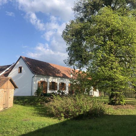 Sonnenhof Lägenhet Limbach im Burgenland Exteriör bild