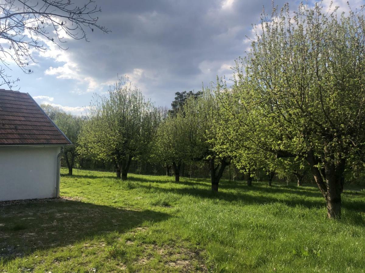 Sonnenhof Lägenhet Limbach im Burgenland Exteriör bild