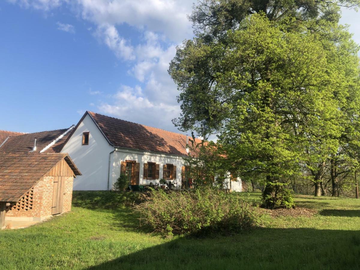 Sonnenhof Lägenhet Limbach im Burgenland Exteriör bild