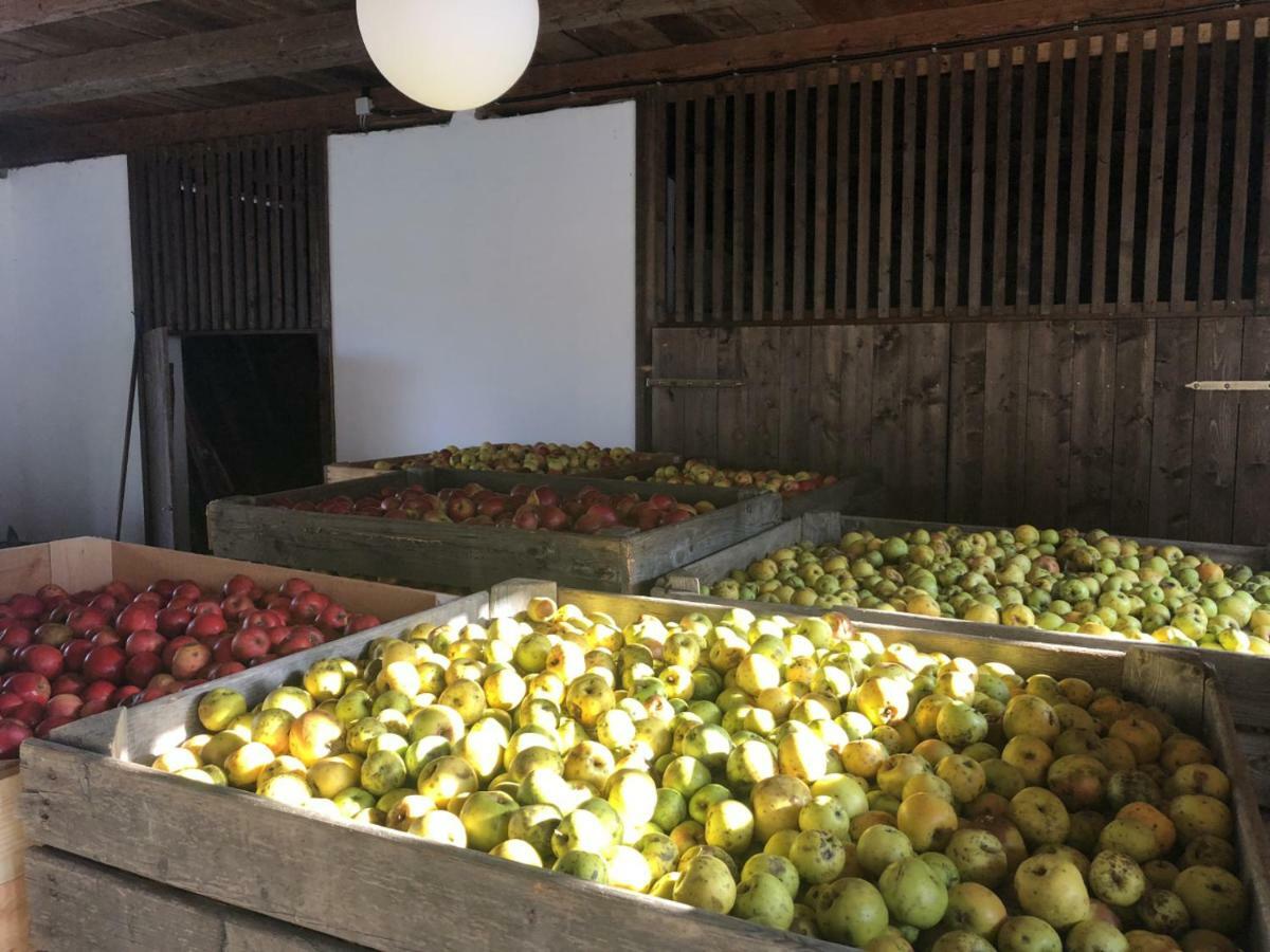 Sonnenhof Lägenhet Limbach im Burgenland Exteriör bild
