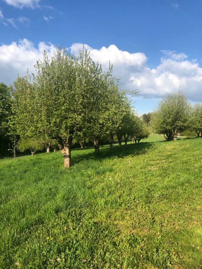 Sonnenhof Lägenhet Limbach im Burgenland Exteriör bild