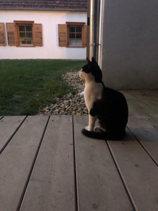 Sonnenhof Lägenhet Limbach im Burgenland Exteriör bild