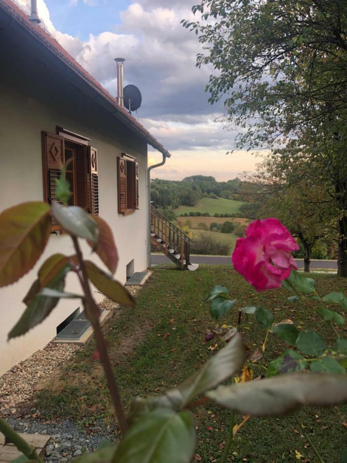 Sonnenhof Lägenhet Limbach im Burgenland Exteriör bild